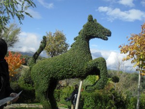 el caballo_ebe